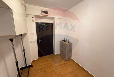 Apartament cu 1 camere de inchiriat in zona Cornitoiu - 7