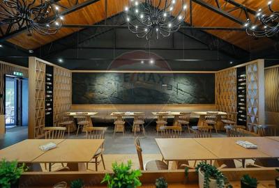 Hotel-Spa-Restaurant nou de Vanzare, 26 Camere, in Padi?,