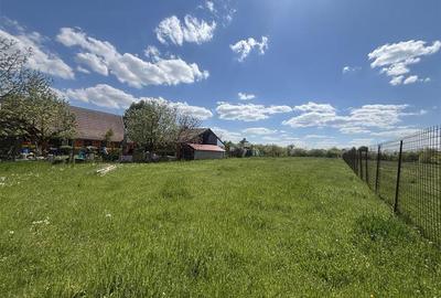 Teren intravilan de 1226 mp, în Chișirid - 3
