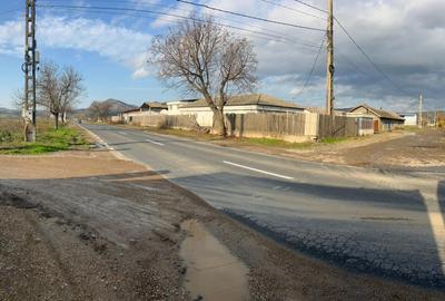 Teren 5000 mp DN22 cu clădiri 800mp + platformă betonată 2700 mp - 3