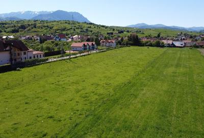 Teren plat P +4 Bran, panoramic munti, DN73, toate utilitatile - 5