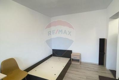 Apartament cu 1 camere semidecomandat, mobilat în Micălaca - 2