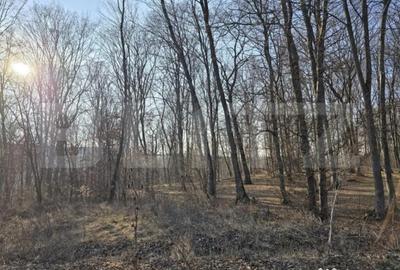 Teren de 1100 mp, în Făget