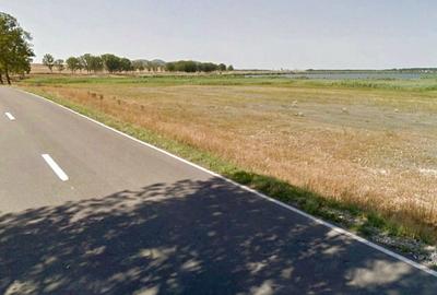 Teren intravilan de 1 Ha, cu iesire la lac, pretabil parc fotovoltaic sau turism - 4