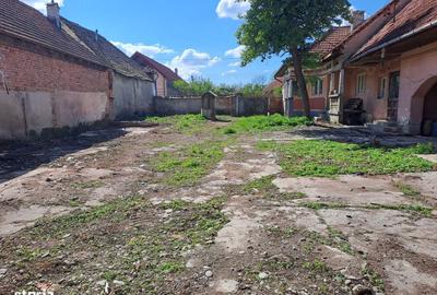 Casă cu 4 camere în Pojorta - 12