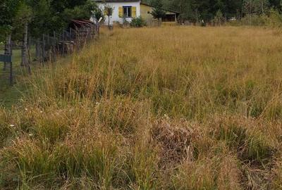 Casă cu 2 camere în Remeți - 3