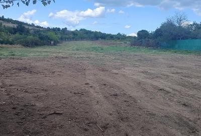 Terenuri cu suprafete intre 500 si 1500 mp in Baicoi, zona Liliesti. - 5