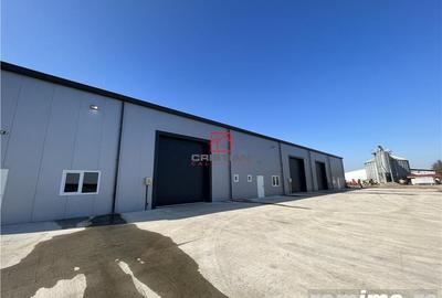 Inchiriere depozit hala spatiu industrial Pantelimon - Centura - 4