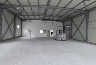 Pallady, hala depozitare, productie in zona Pallady, 140 mp pret 1000 euro - 6