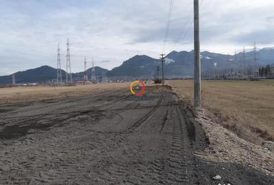 Teren de 4800 mp, în Centură - 5