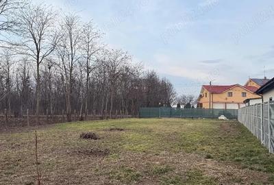 Spațiu comercial, în Horia - 2