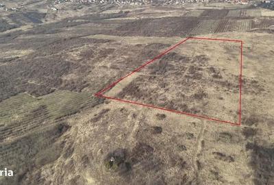 Spațiu comercial, în Centura