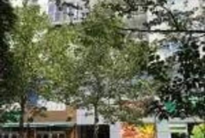 Vanzare Apartament 2 Camere 1 minut Bulevardul Decebal - 3