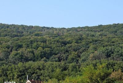 Spațiu comercial, în Hemeiuș