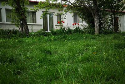 Casă cu 4 camere în Puchenii Mici - 8