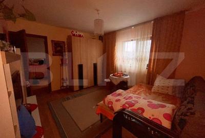 Case in aceeasi curte, 500 mp,  zona Miroslava-Family Market - 14