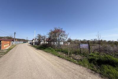 Teren Construcții intravilan de 1660 mp, în Rădulești - 2