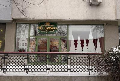 Spațiu comercial, de 100 mp, în Vărsătura - 1