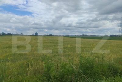 Teren de 6600 mp, în Rădăuți - 1