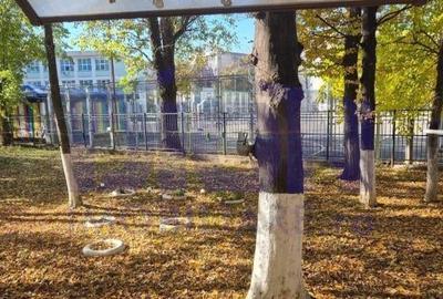 APARTAMENT 2 CAM, PIATA RESITA - 2