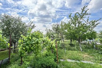 Casă cu 3 camere cu Canalizare în Giarmata - 8