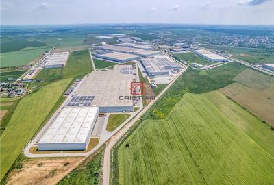 Spațiu comercial, de 10,000 mp, în Bolintin-Deal - 8