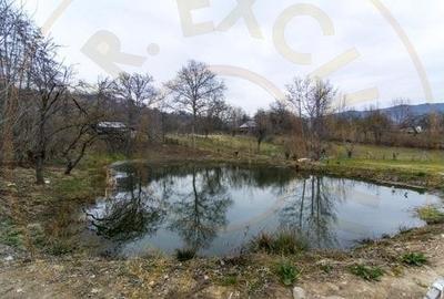 Casa de vacanta sau rezidentiala cu lac si ciubar Nucsoara-Arges Casa de vacanta sau rezidentiala cu lac si ciubar Nucsoara-Arges - 20