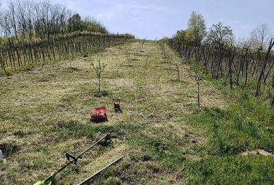 Teren de 2000 mp, în Gării