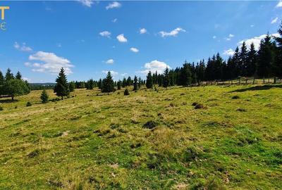 Oportunitare | Teren 1350 mp cu PUZ | Belis - 8