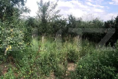 Casă cu 4 camere cu Teren 2906 Mp în Central - 2