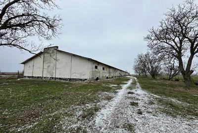 Spațiu industrial, în Ceamurlia de Jos - 13