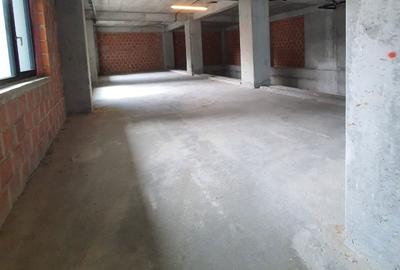 Spațiu comercial, de 450 mp, în Cișmigiu - 15