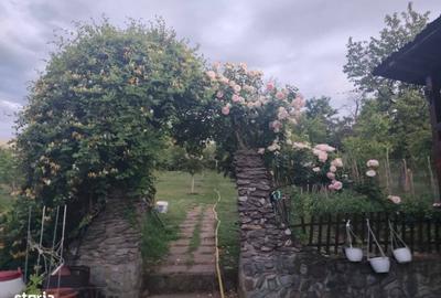 Casă cu 2 camere decomandat cu Teren 1134 Mp în Central - 10