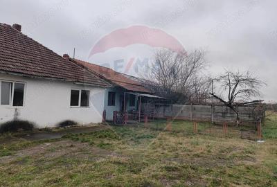 Casă cu 5 camere cu Teren 7531 Mp în Sacu - 6