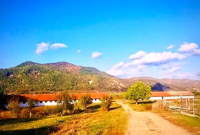 Vand teren intravilan in Cislau jud Buzau cu grajduri - 1