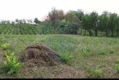 Teren 6,890mp Crasna / Strada Crasna - 3