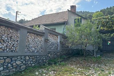 Casa in Marginimea Sibiului - Rasinari, jud. Sibiu Casa in Marginimea Sibiului - Rasinari, jud. Sibiu - 20