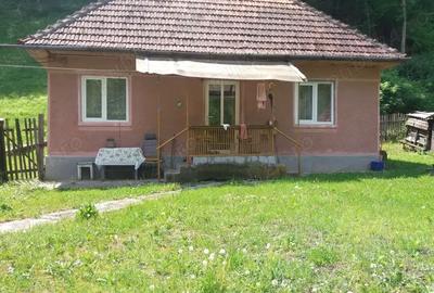 Casă cu 3 camere cu Teren 3200 Mp în Mihăileni - 4