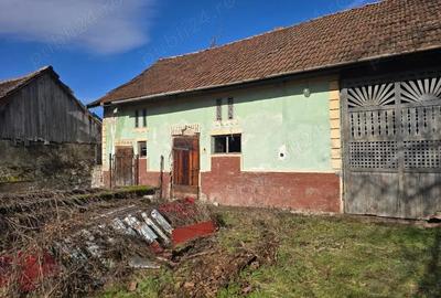 Casă cu 3 camere cu Teren 2500 Mp în Pietroasa - 4