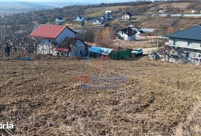 Teren de 910 mp, în Bârnova - 7