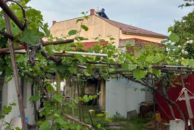 Casă cu 2 camere în Brestei - 2