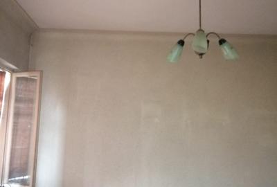 Vânzare 2 vile singur curte Banu Manta - 10