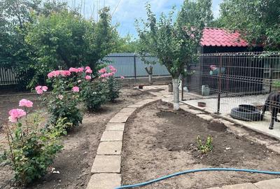 Casă cu Teren 1457 Mp în Traian - 8