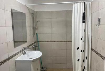 Garsonieră decomandată în Brazda lui Novac - 9
