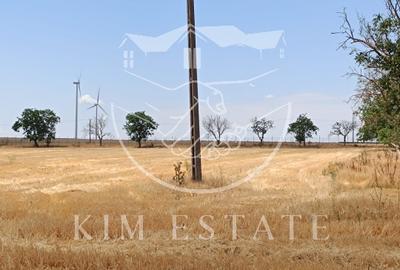 Ferma Pantelimon 10 hectare - 9