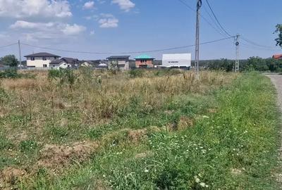 Teren intravilan de 1543 mp, în Brănești