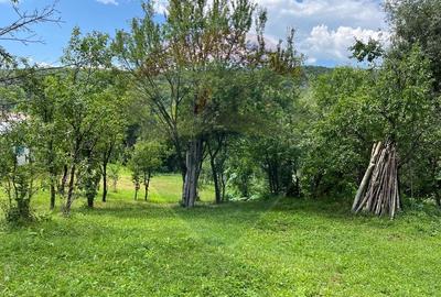 Teren intravilan (faneata) de vanzare  - 2231 mp, Telega, jud. Prahova - 5
