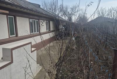 Casă cu 3 camere în Central - 6