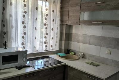 Garsonieră nedecomandată în Buziașului - 1