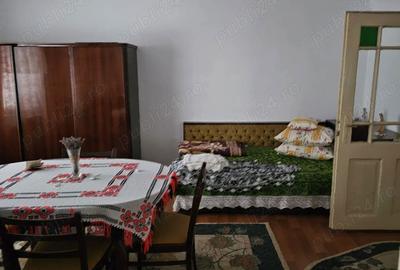 Casă cu 4 camere cu Teren 350 Mp în Geoagiu - 7